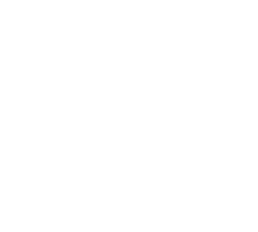 ic-advantage-sector-02