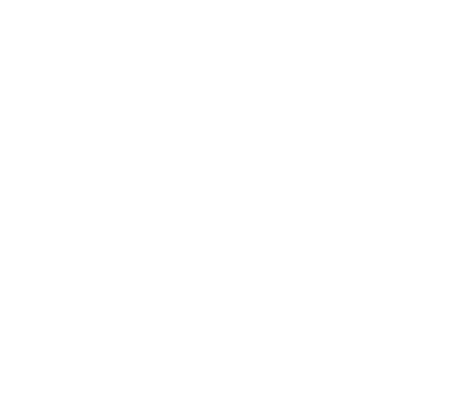 ic-advantage-sector-06